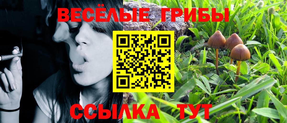 как найти закладки  Псилоцибиновые грибы прущие грибы  Вход с VPN  Галлюциногенные грибы мицелий  Долгопрудный 